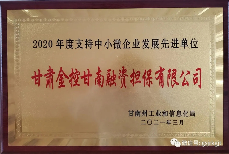金控甘南擔(dān)保榮獲2020年度支持中小微企業(yè)發(fā)展先進單位稱號
