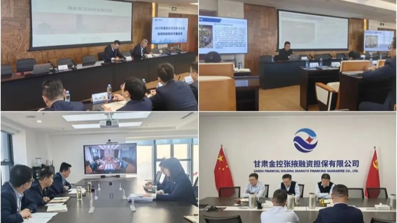  甘肅金控集團舉辦2025年度協同項目推進會暨協同風險防控專題培訓