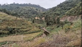 201912021575256827586178.jpg 3.jpg